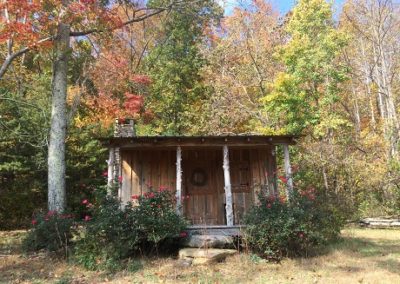 Rustic Cabin