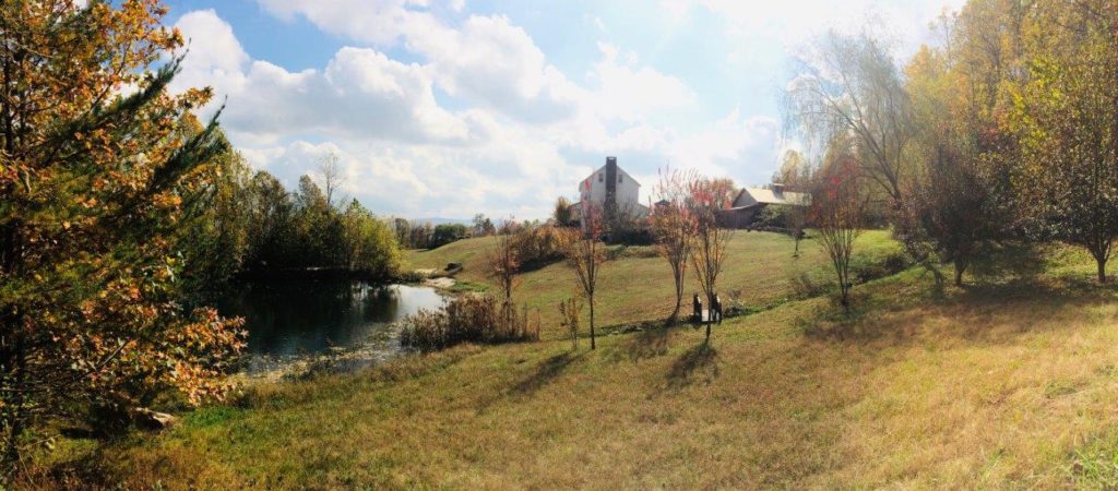 wide shot side yard